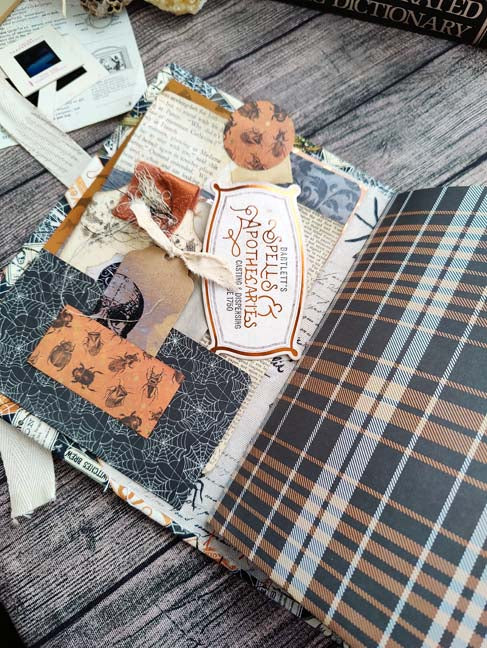Bugs and Bones JOURNAL Ready to Ship, Handmade Grimoire, Memory Keeper
