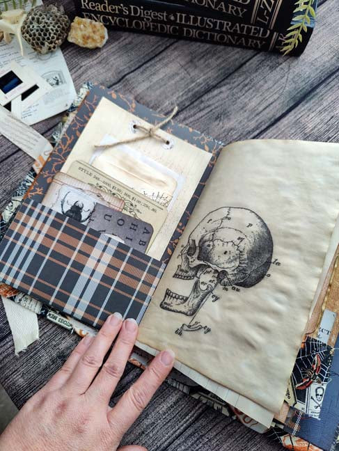 Bugs and Bones JOURNAL Ready to Ship, Handmade Grimoire, Memory Keeper