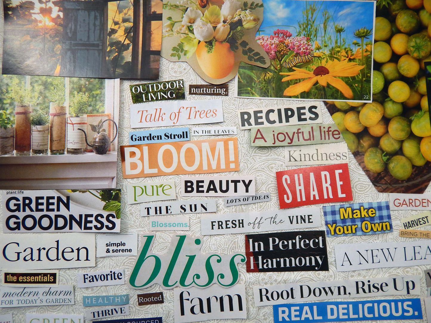 Magazine Cut Outs GARDENING Collage Fodder GREEN THUMB  Images and Words