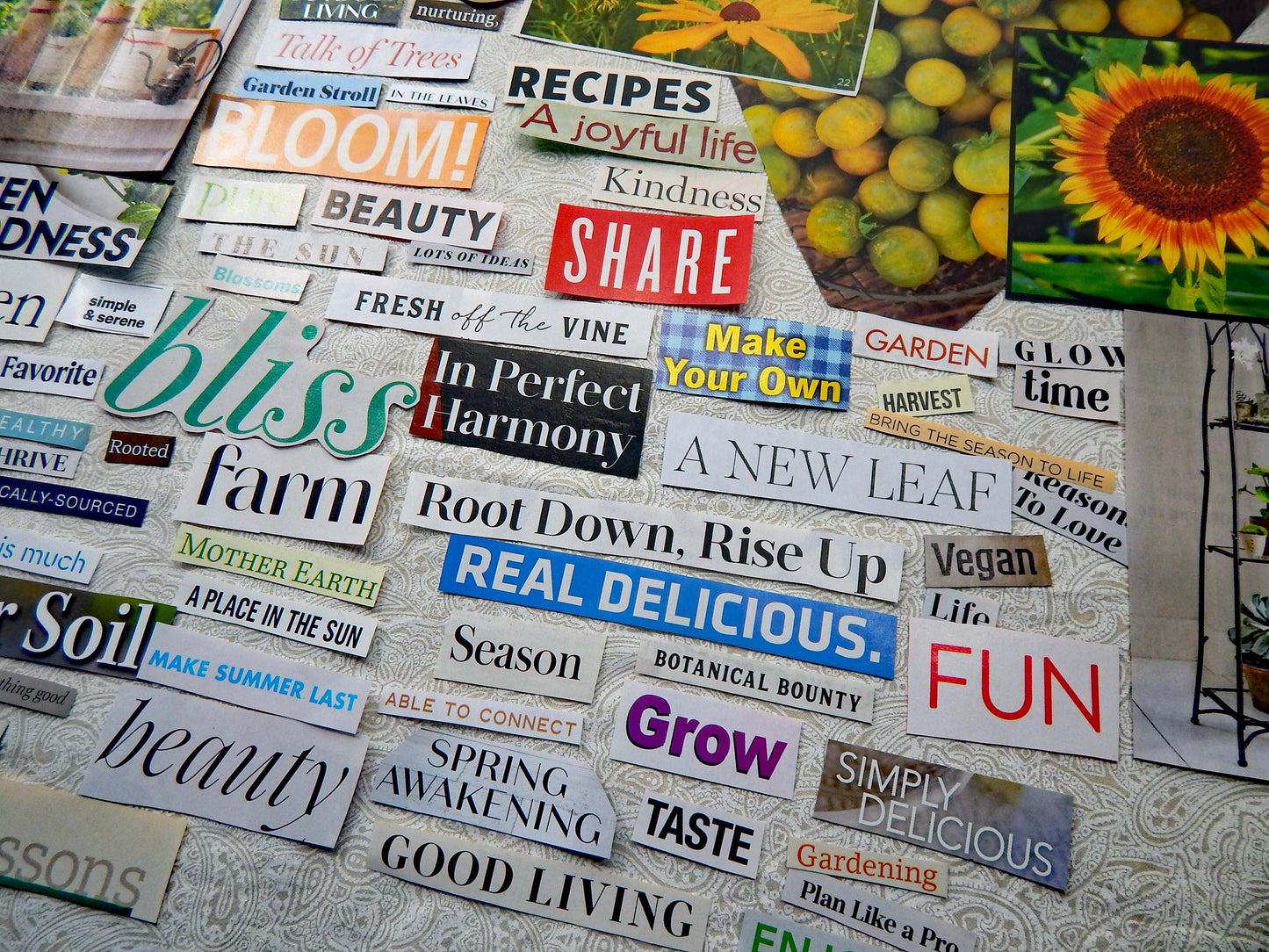 Magazine Cut Outs GARDENING Collage Fodder GREEN THUMB  Images and Words