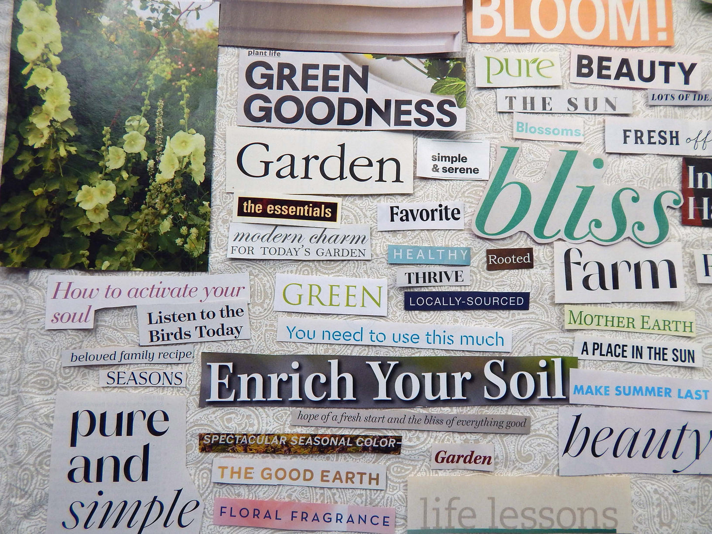 Magazine Cut Outs GARDENING Collage Fodder GREEN THUMB  Images and Words