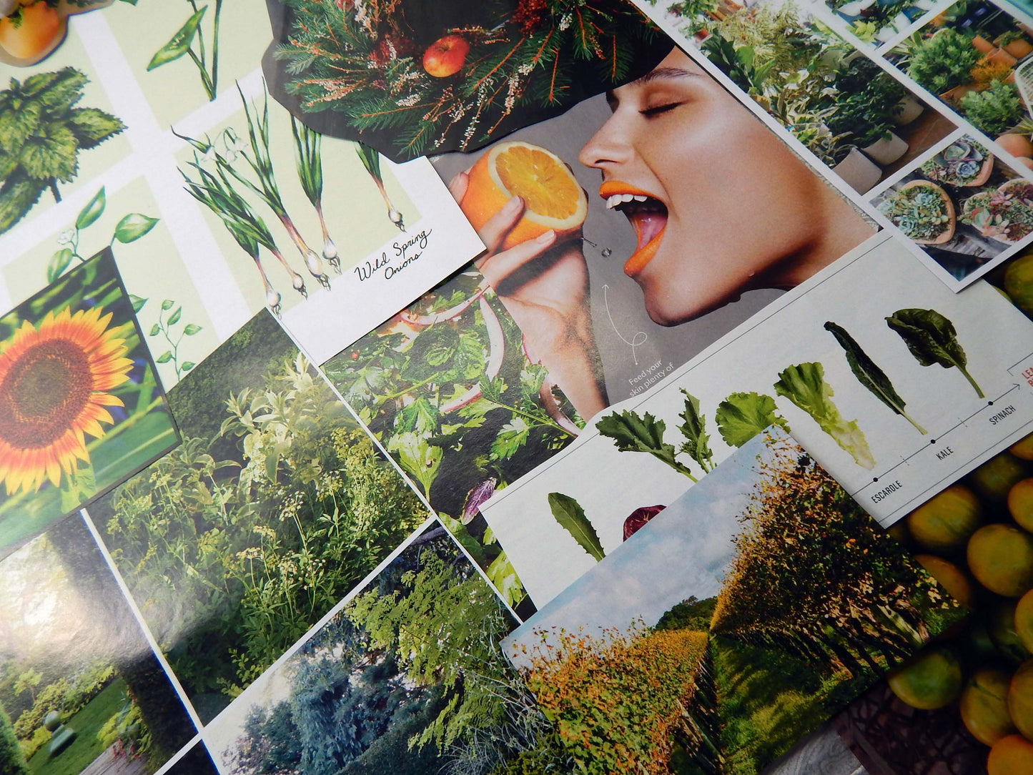 Magazine Cut Outs GARDENING Collage Fodder GREEN THUMB  Images and Words