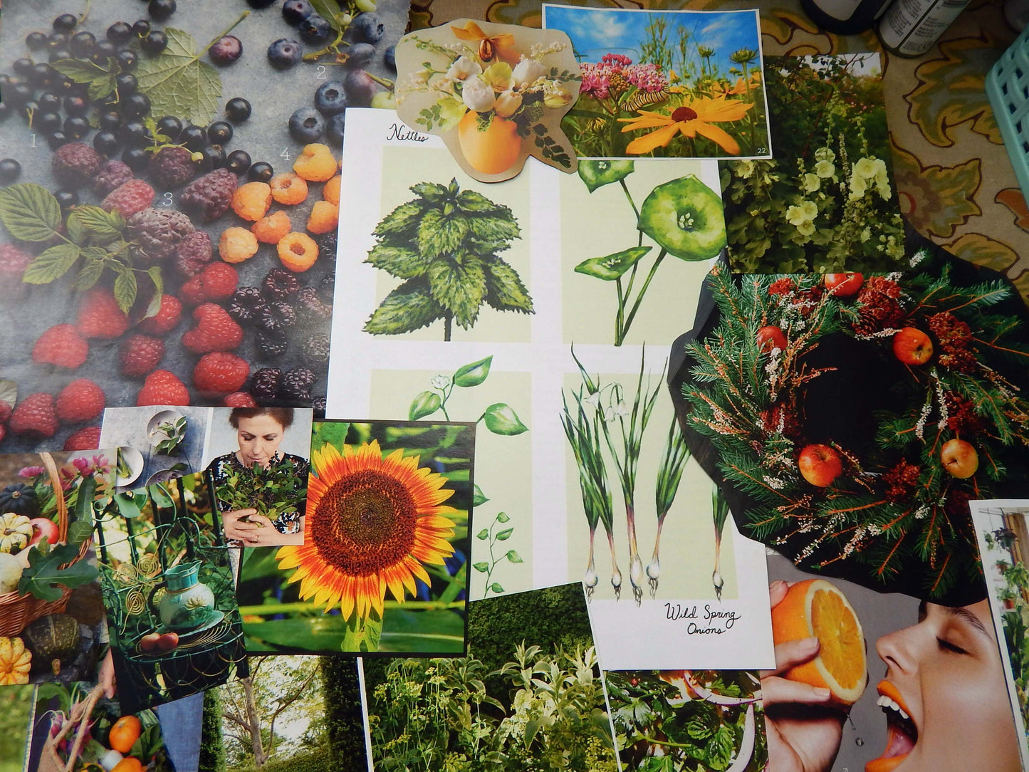 Magazine Cut Outs GARDENING Collage Fodder GREEN THUMB  Images and Words