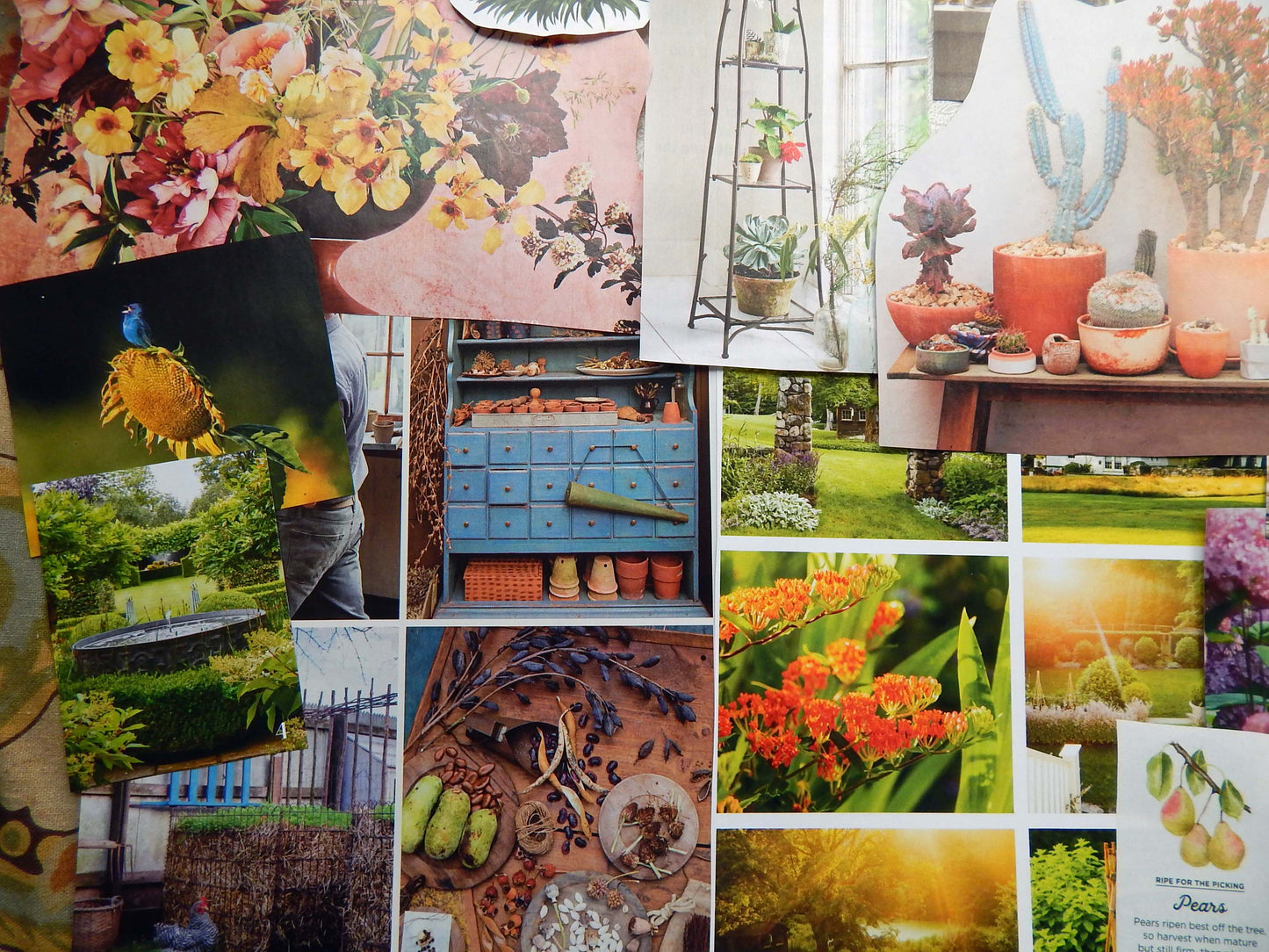 Magazine Cut Outs GARDENING Collage Fodder GREEN THUMB  Images and Words