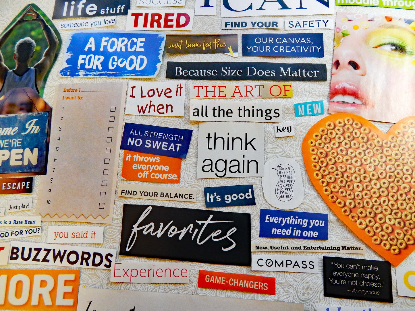 Magazine Cut Outs RANDOM/ECLECTIC Collage Fodder WEIRD Images and Words