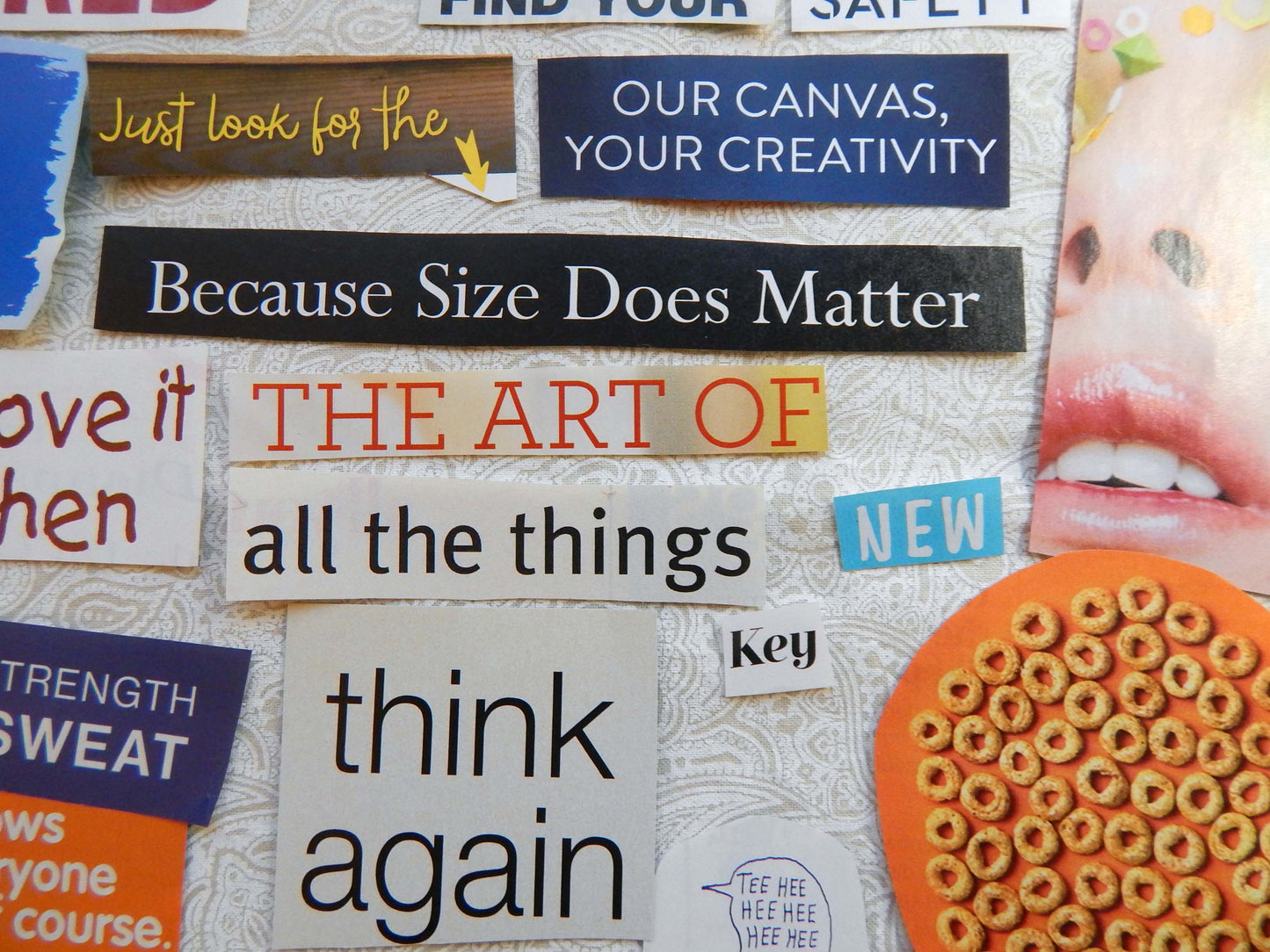 Magazine Cut Outs RANDOM/ECLECTIC Collage Fodder WEIRD Images and Words