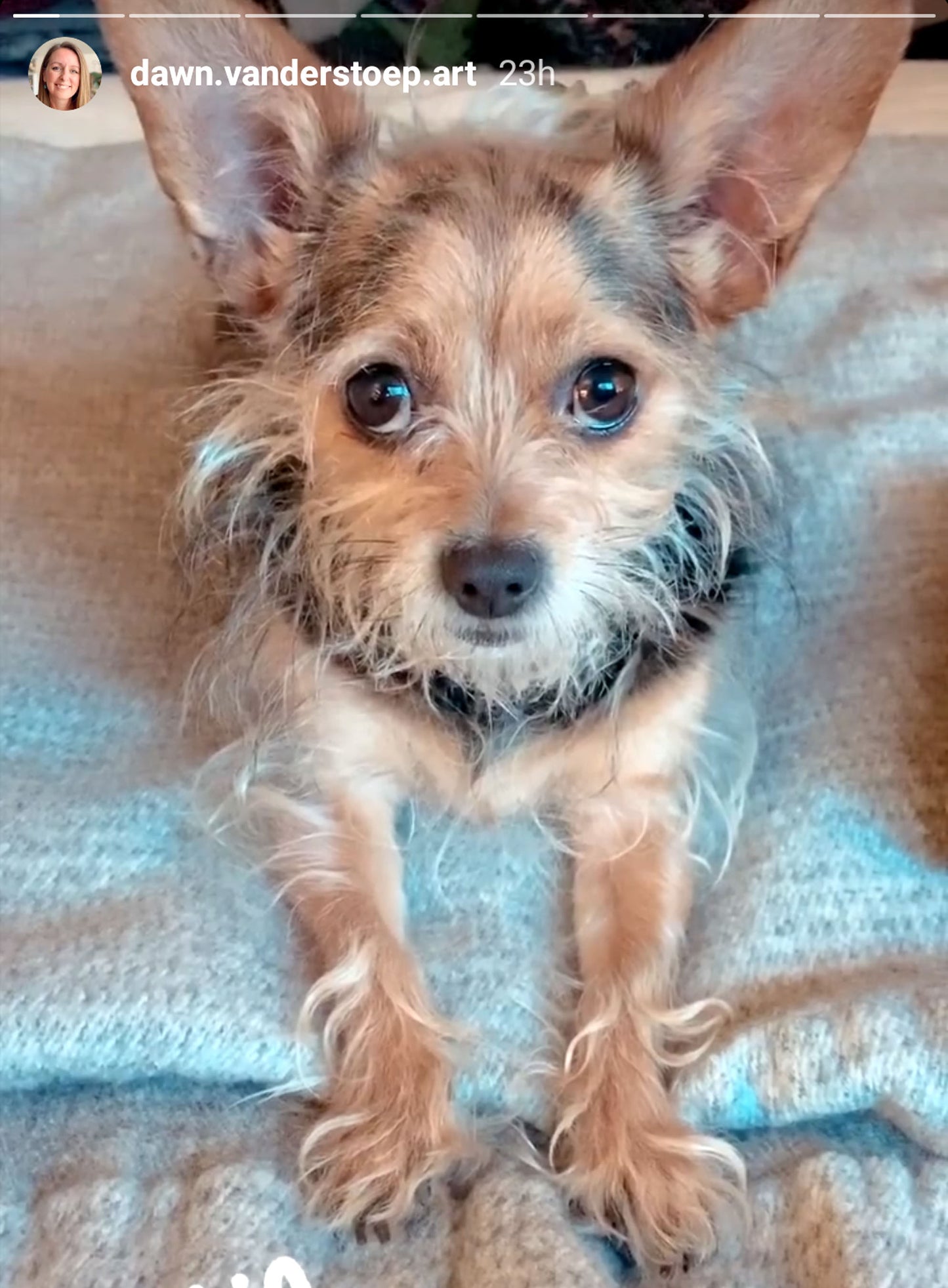 Custom 5x7 Pet Portrait on Paper